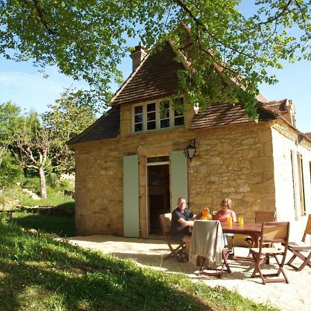 Cozy Cottage In Aquitaine With Private Swimming Pool Peyzac-le-Moustier Buitenkant foto
