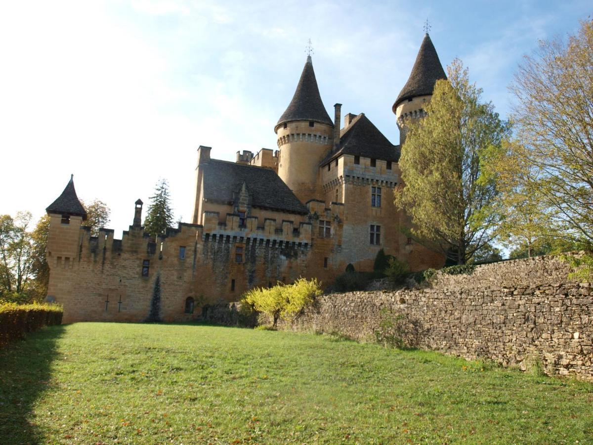 Cozy Cottage In Aquitaine With Private Swimming Pool Peyzac-le-Moustier Buitenkant foto