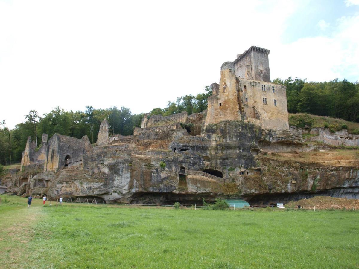 Cozy Cottage In Aquitaine With Private Swimming Pool Peyzac-le-Moustier Buitenkant foto